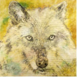 The Soul of the Wolf Cries (L'âme du loup pleure); ink, oil & wax on panels; 72" x 72" overall